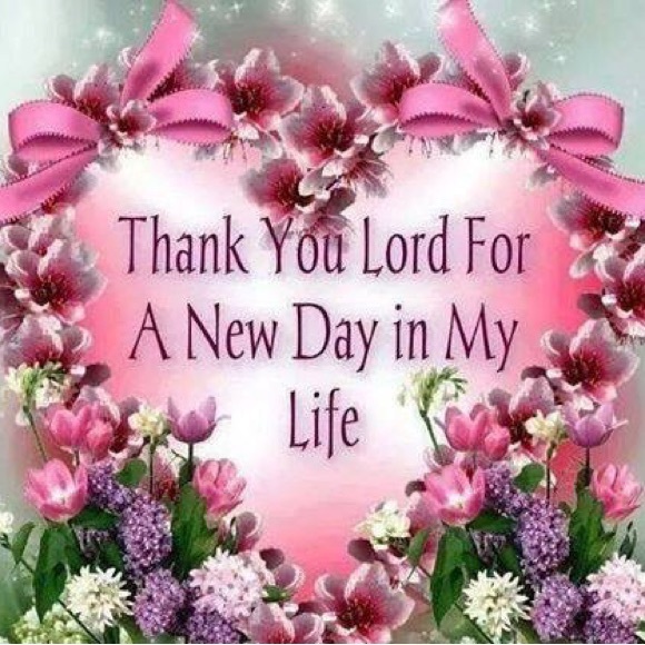 Thanks💞💐, Family health issues are better, so I am back with new Stock.11/24/24 - Picture 3 of 5